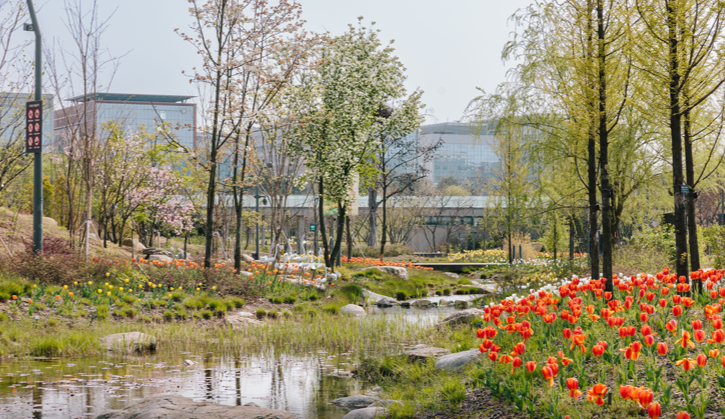  금산세계인삼축제 날짜&amp;#44; 일정&amp;#44;교통편 총정리