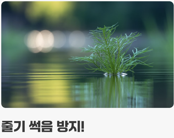 바닥재? NO! '떠다니는 숲'의 매력