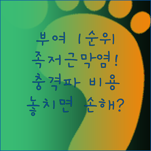 부여군 족저근막염 병원 순위와 체외충..