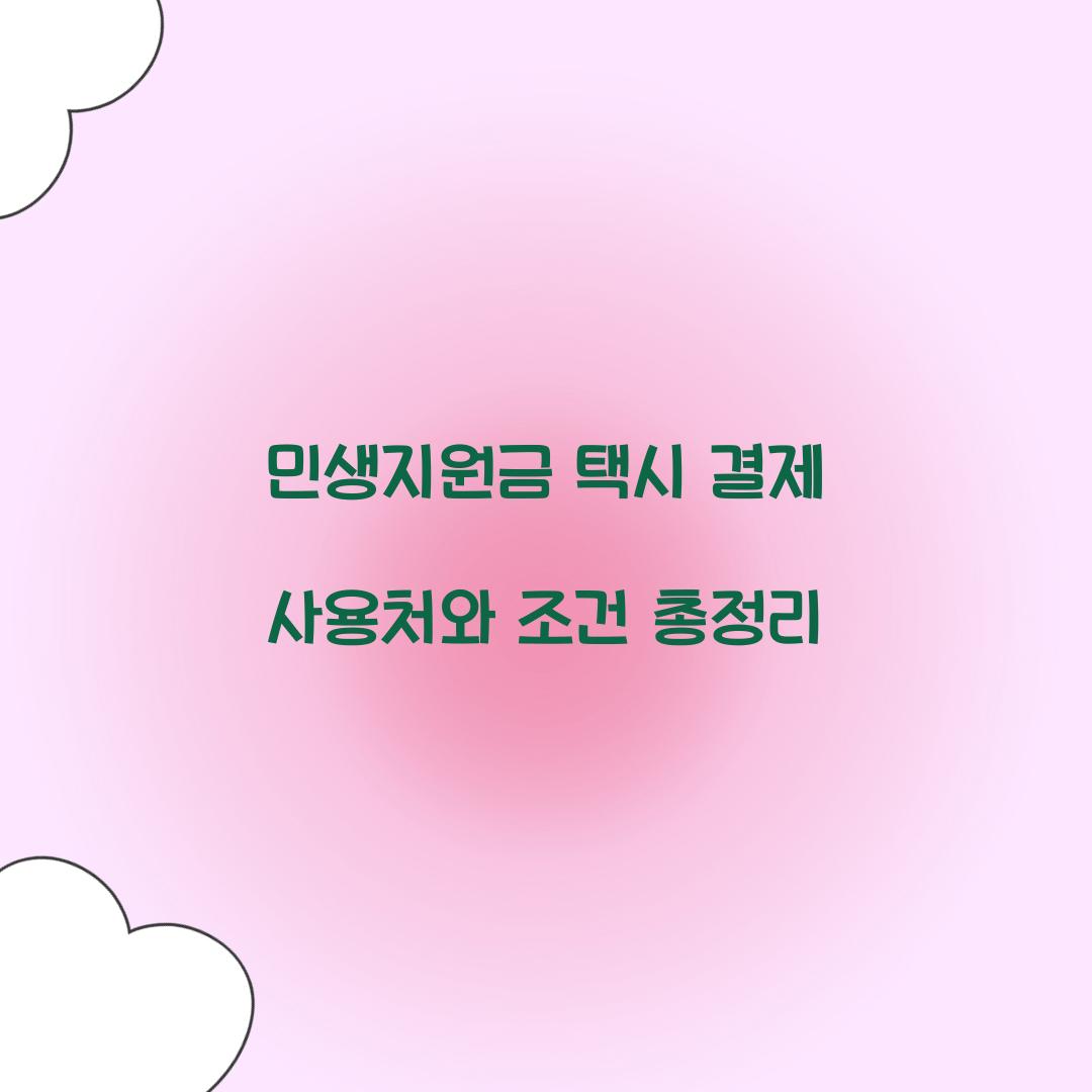 민생지원금 택시 결제