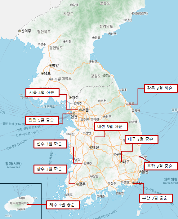 유채꽃 개화 예상 시기