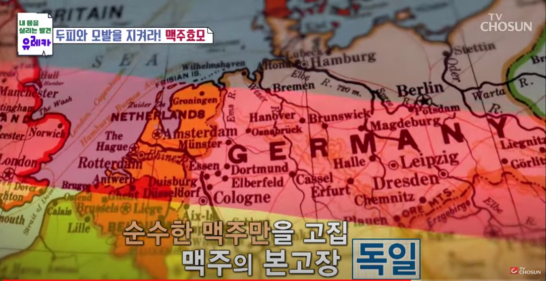 탈모 예방에 효과적인 맥주효모: 효능&amp;#44; 섭취 방법&amp;#44; 그리고 주의 사항