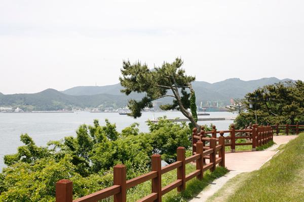통영 이순신공원 수국 구경 주차