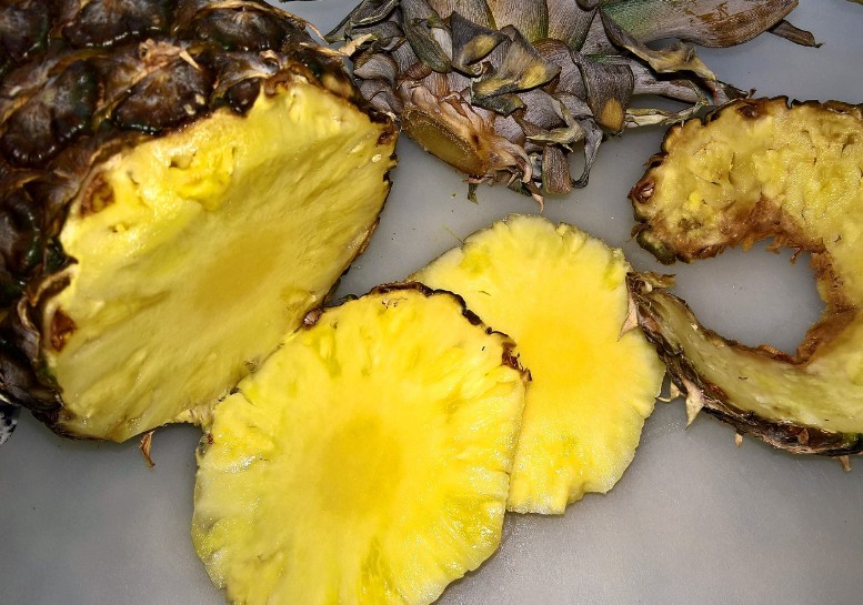 효소의 주된 원료 사진