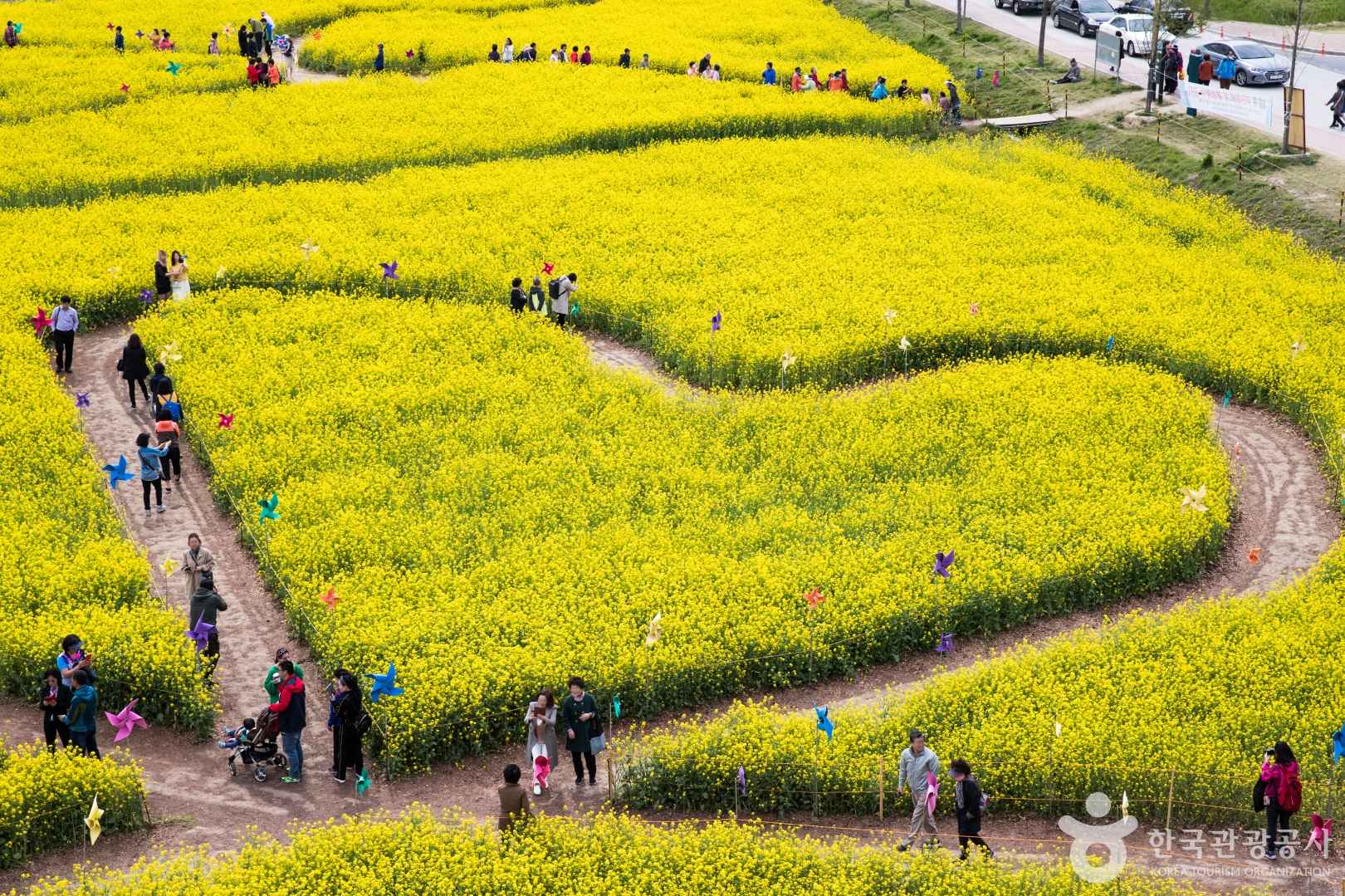 부산 대저생태공원