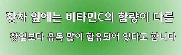 황차 잎에는 비타민C의 함량이 다른 찻잎보다 유독 많이 함유되어 있다고 합니다
