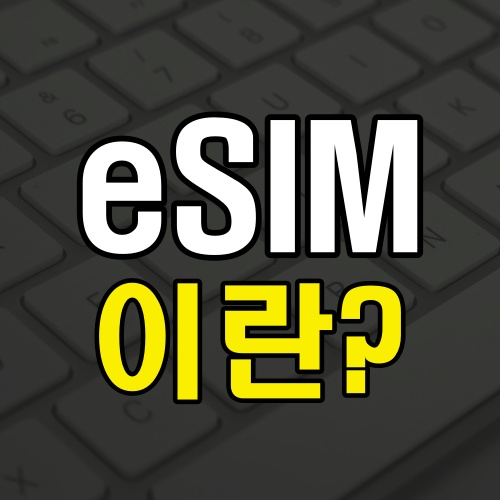 eSIM 장점 단점