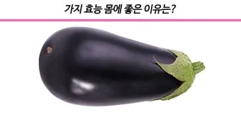 가지 효능 혈압 당뇨 관리 도움 정보_10