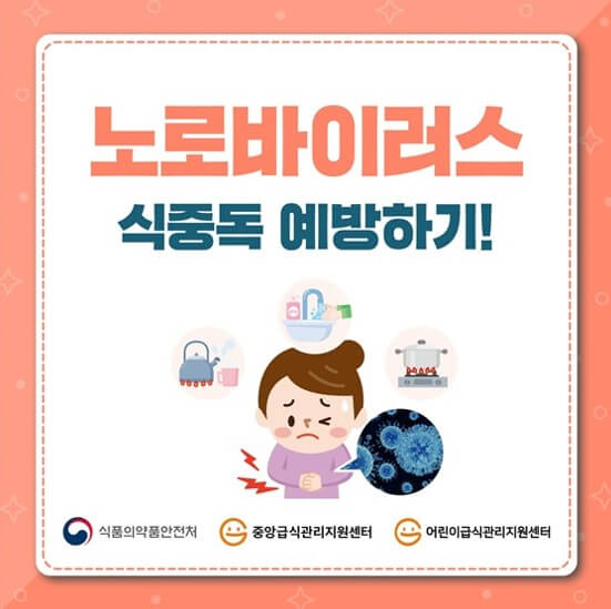 겨울철 식중독의 주범 '노로바이러스'