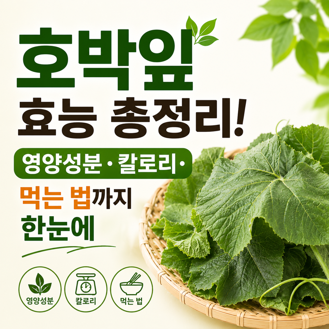 호박잎 효능