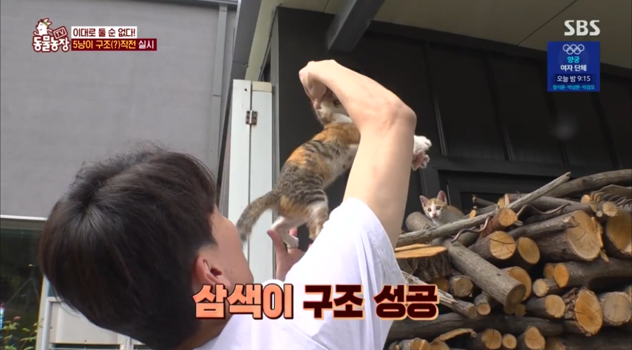 동물농장