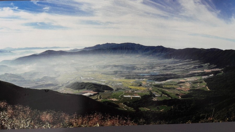 2025 청춘양구 펀치볼 시래기 사과축제 ❘ 일정 · 프로그램 · 먹거리 · 구매 정보 총정리 관련 사진