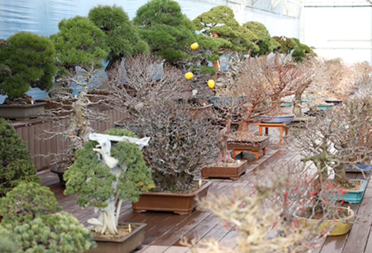 세종 베어트리파크 수목원