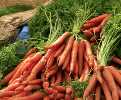 6월 텃밭 작물 추천 당근