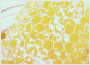 프로폴리스 효능