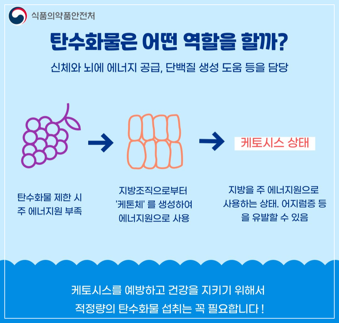 탄수화물역할