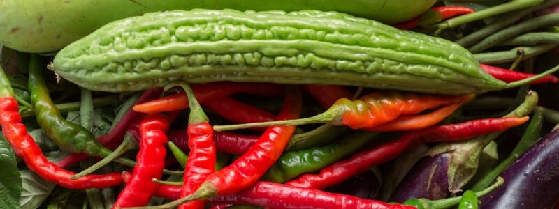 밭에서-따온-생여주