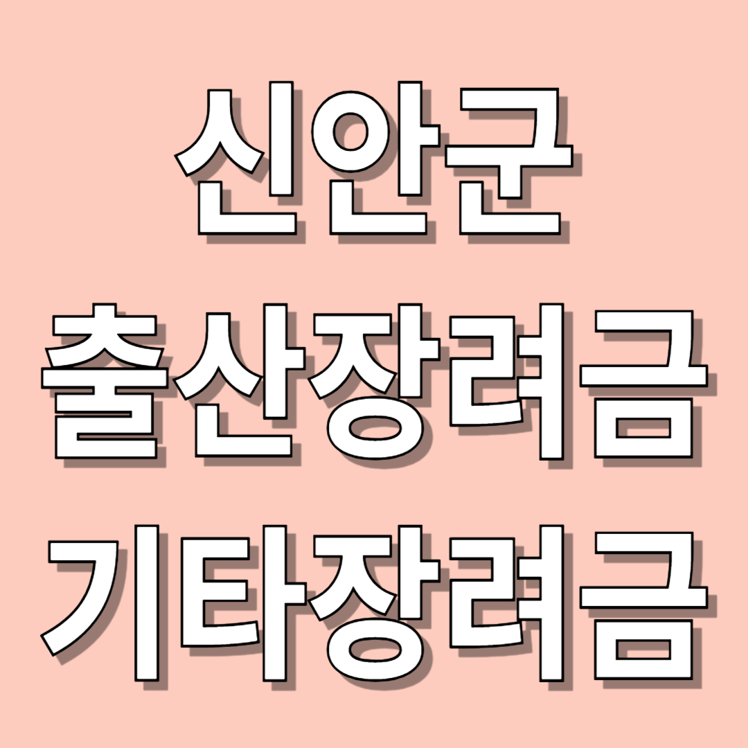 신안군 출산장려금