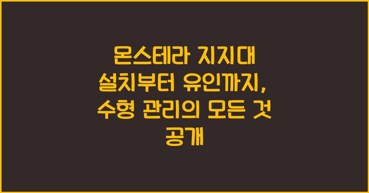 몬스테라 지지대 설치부터 유인까지, 수형 관리의 모든 것