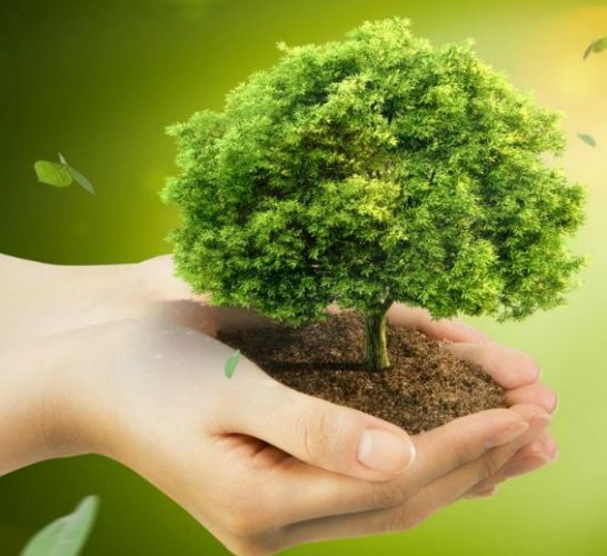 식목일-자연보호-나무-환경보호