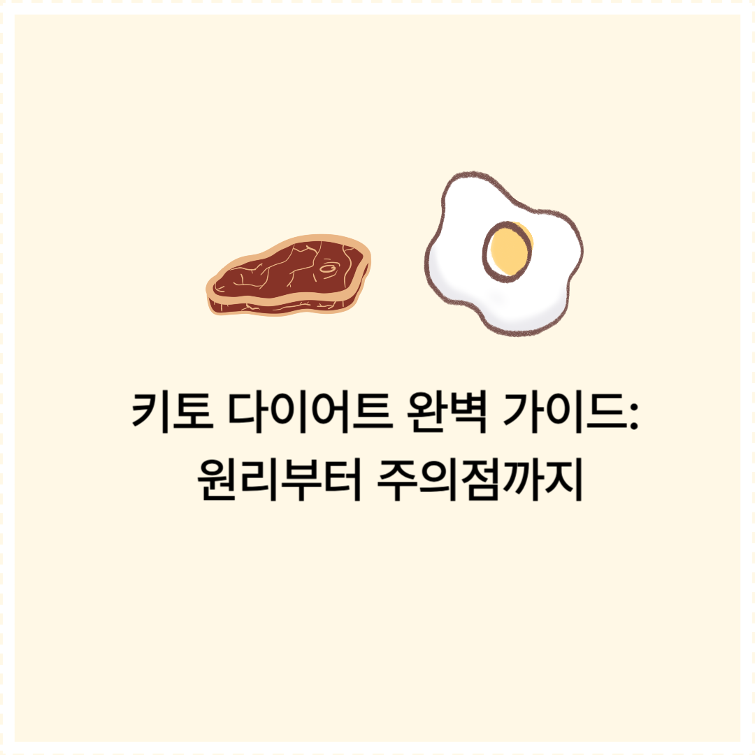 카토 다이어트 완벽 가이드