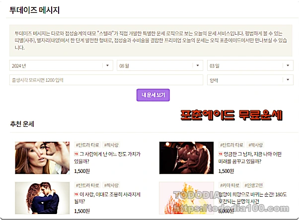 포춘에이드