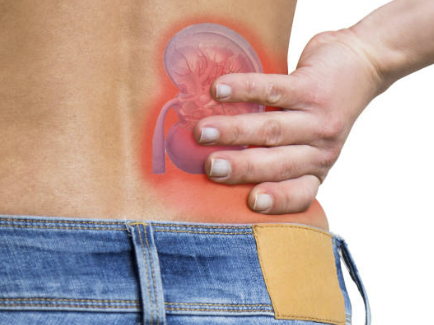 신장에 좋은 음식 7가지 조리법 나쁜 음식 등 총정리(최신)