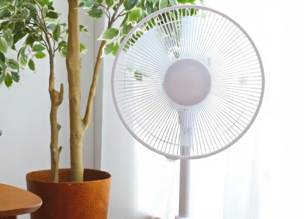 5월 대청소 체크리스트, 선풍기