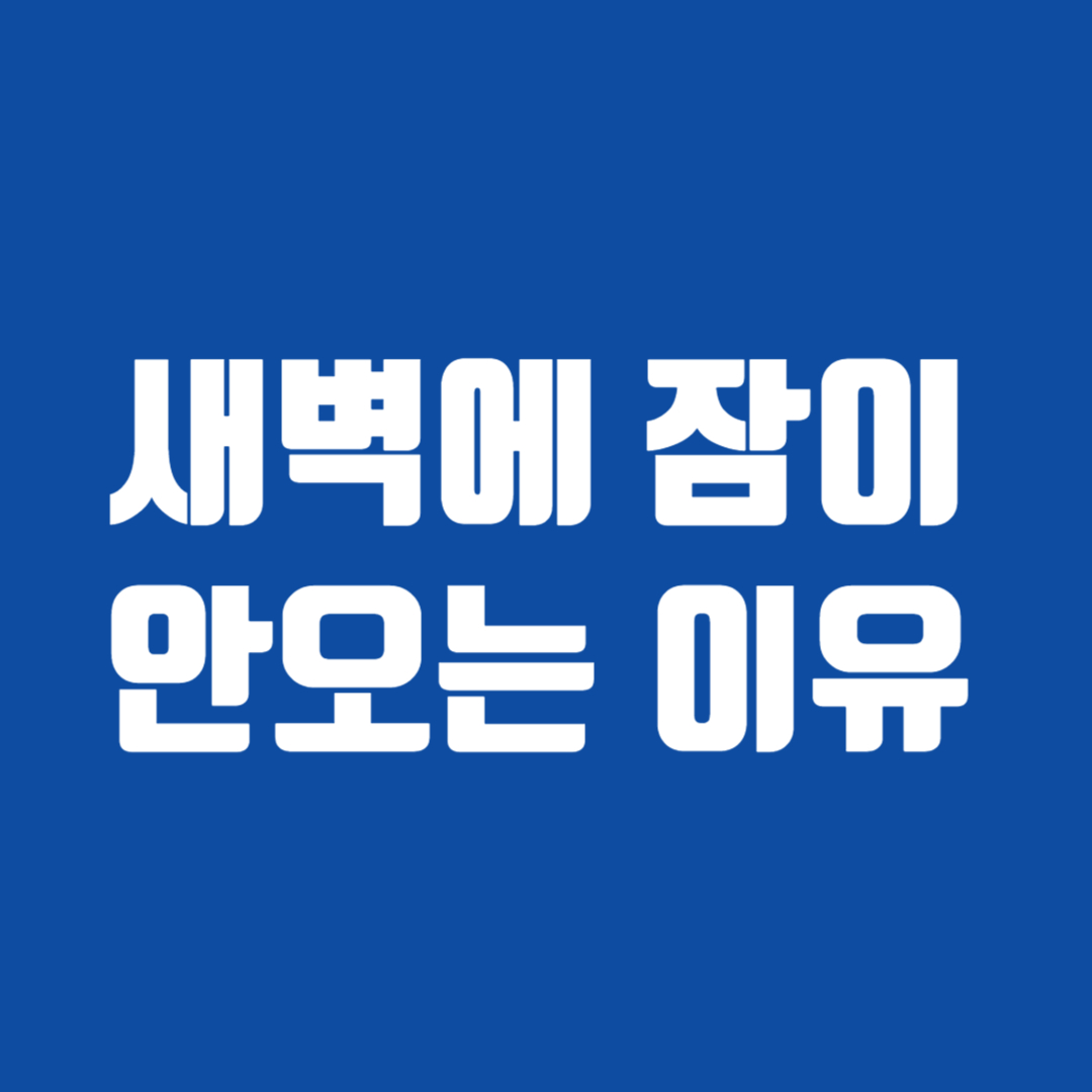 새벽에 잠이 안오는 이유