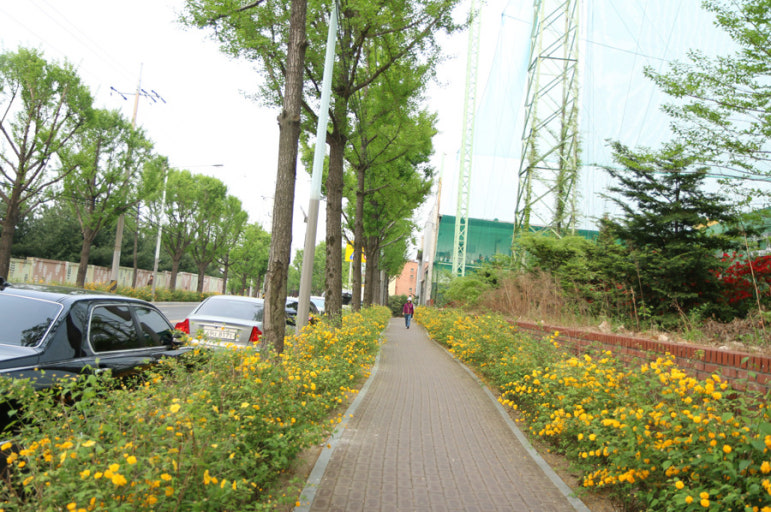 반려견과 가기 좋은 여행지 BEST10|강아지와 편하게 떠나는 전국 여행지 추천 관련 사진