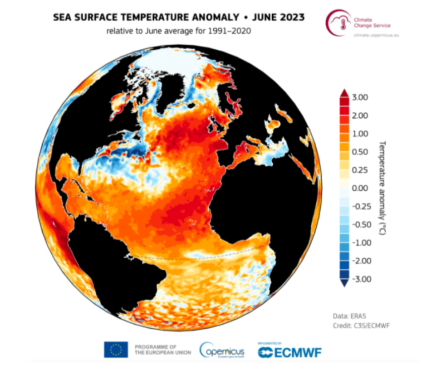 환경오염에 관한 이미지