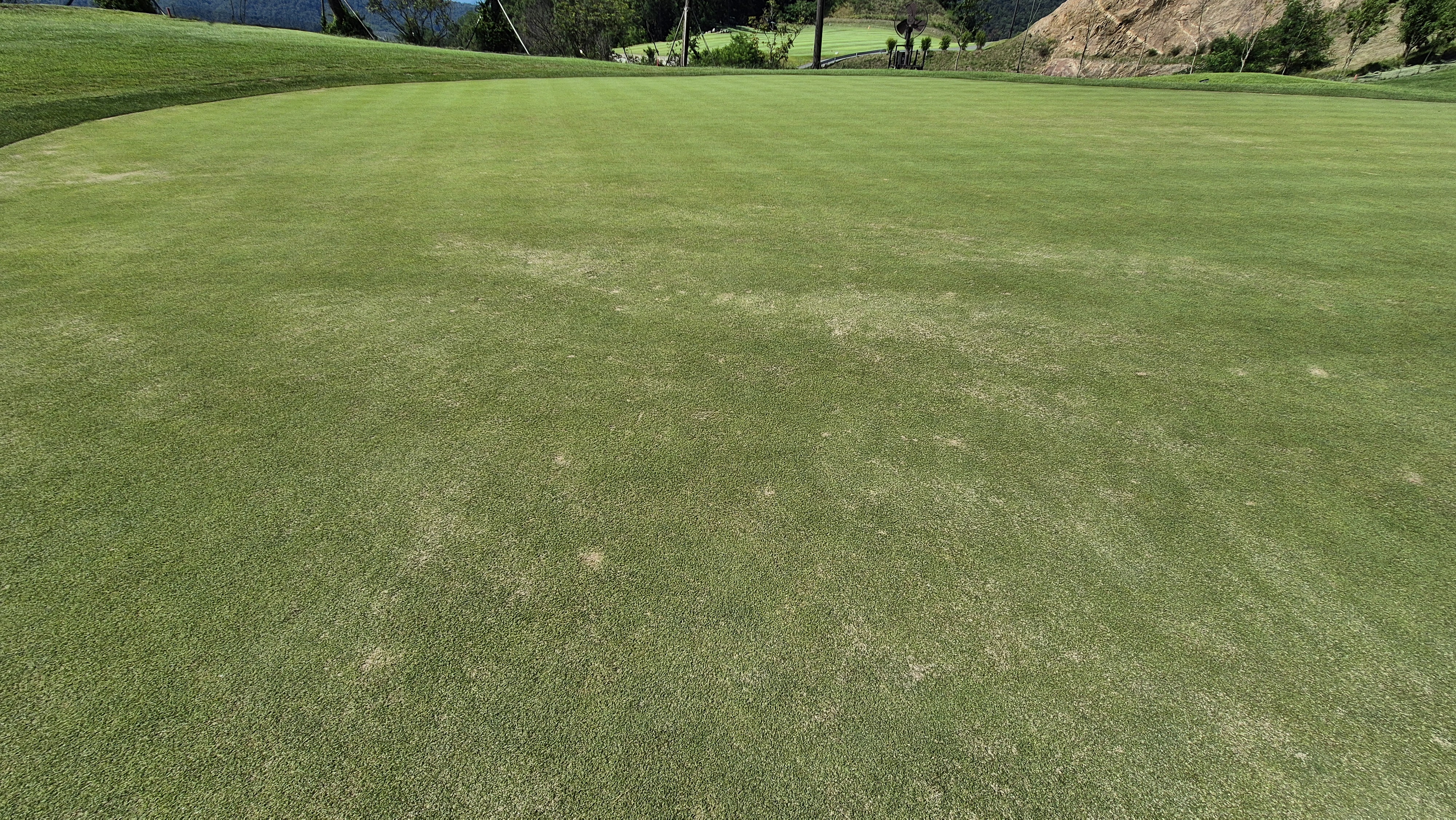 힐데스하임cc 밸리-레이크 코스 라운드 후기