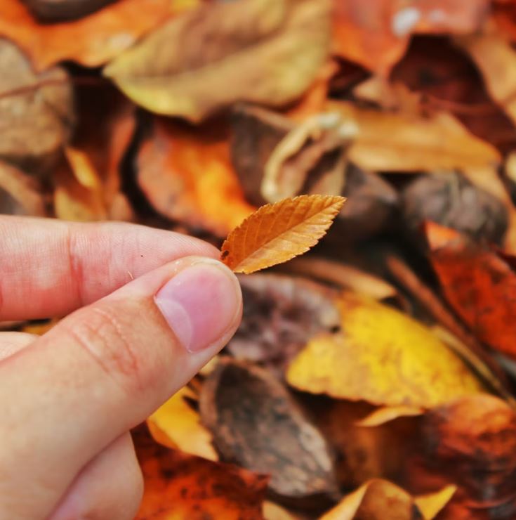 환절기 내 면역력은 괜찮을까?