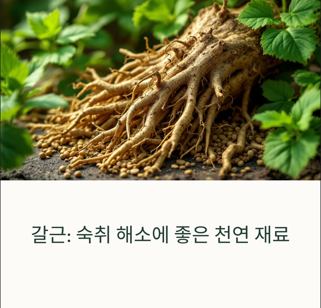 갈근: 숙취 해소에 좋은 천연 재료