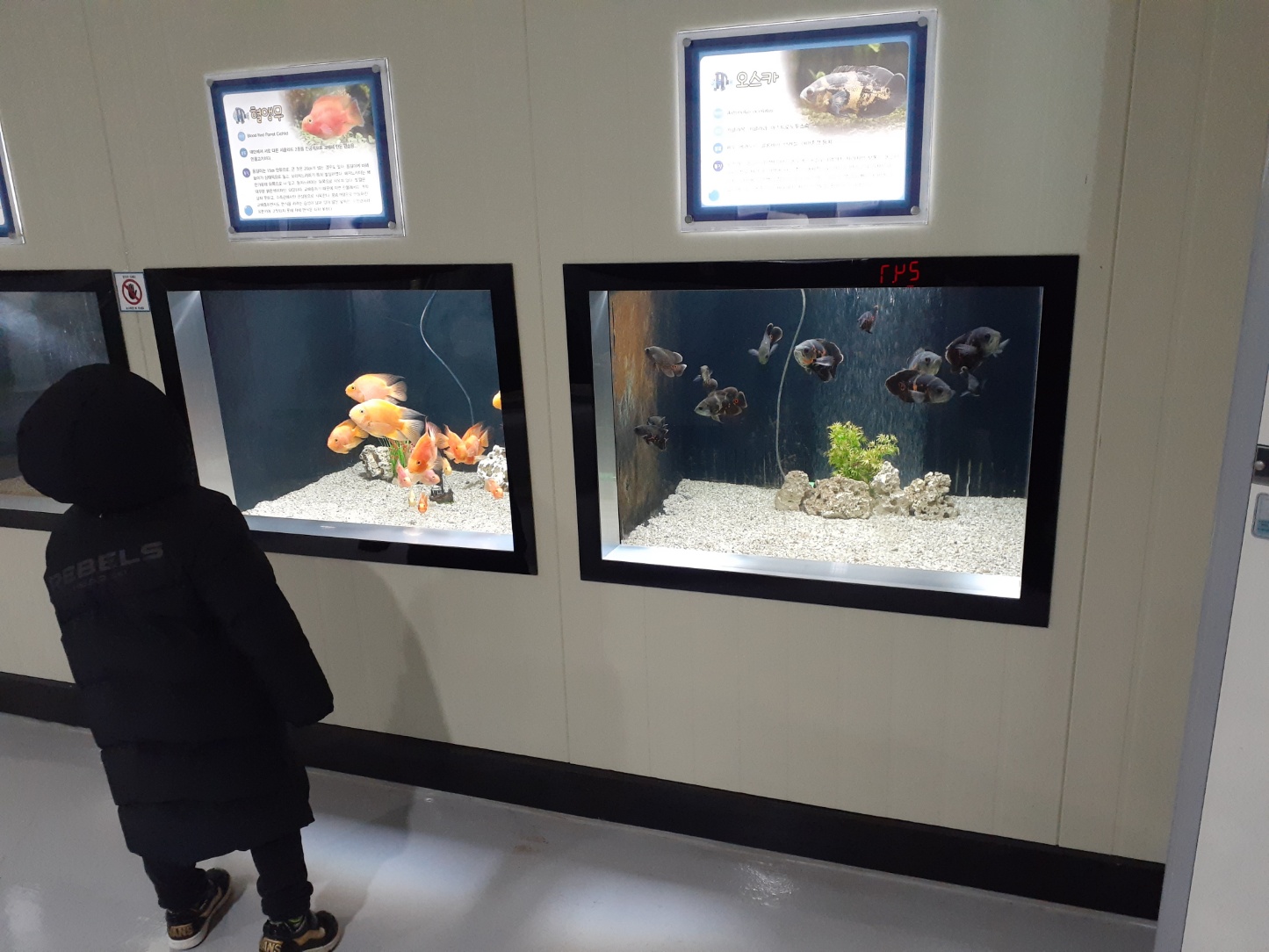 민물고기전시관열대어전시관