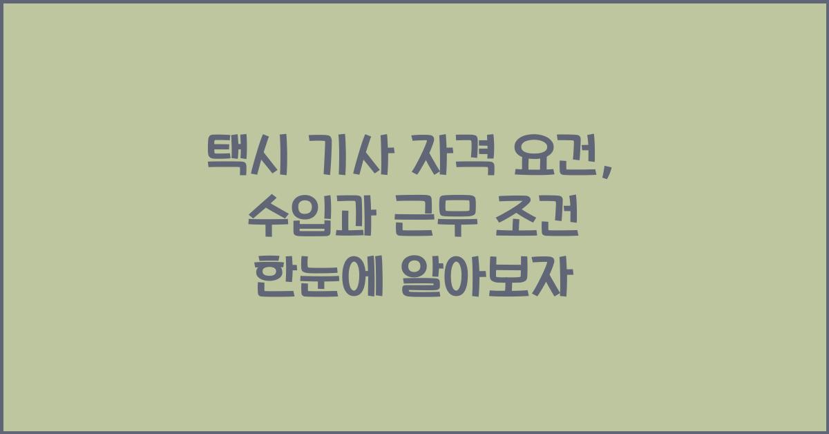 택시 기사 자격 요건