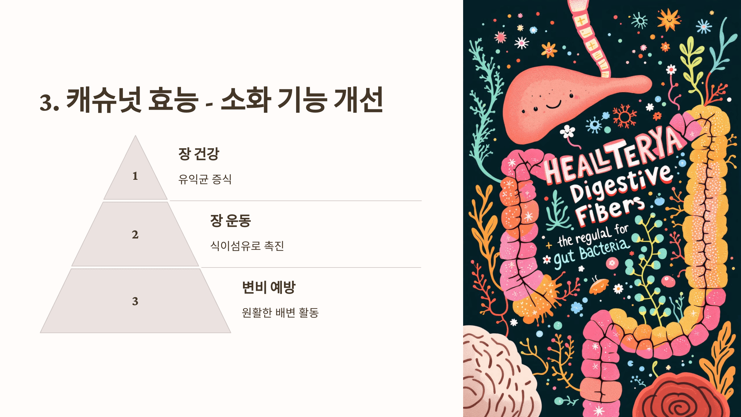 캐슈넛 사진입니다.