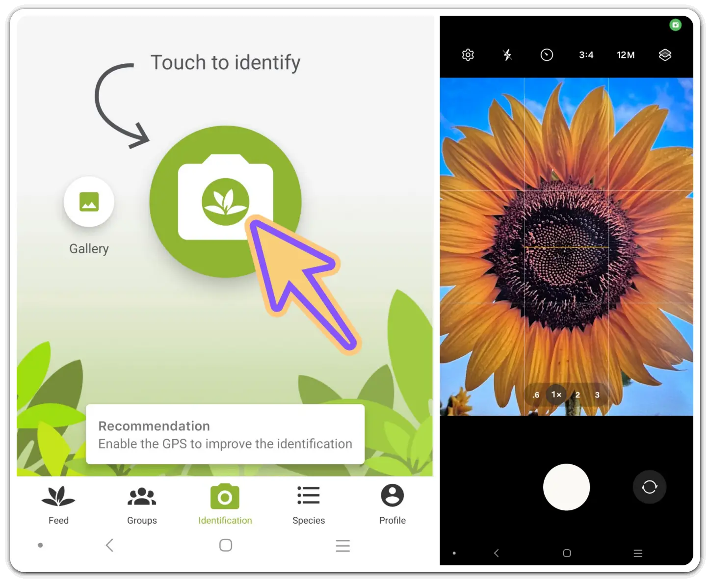 꽃-화초-이름-검색-찾기-무료-어플