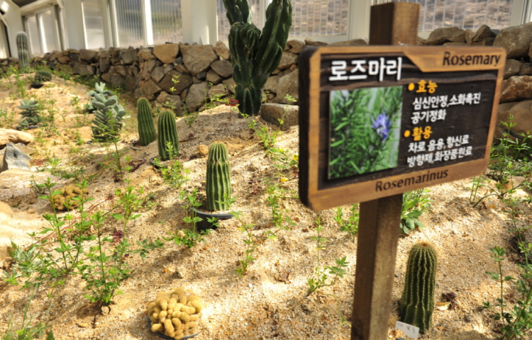장흥 우드랜드