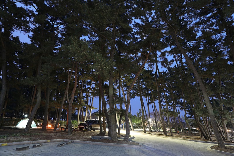 충청남도 태안군 몽산포 자동차야영장