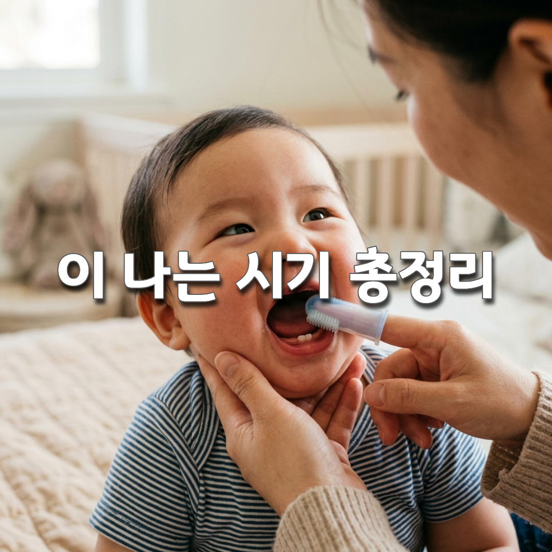 아기 첫 이빨 언제 날까 구강 발달 시기 완벽 정리🦷