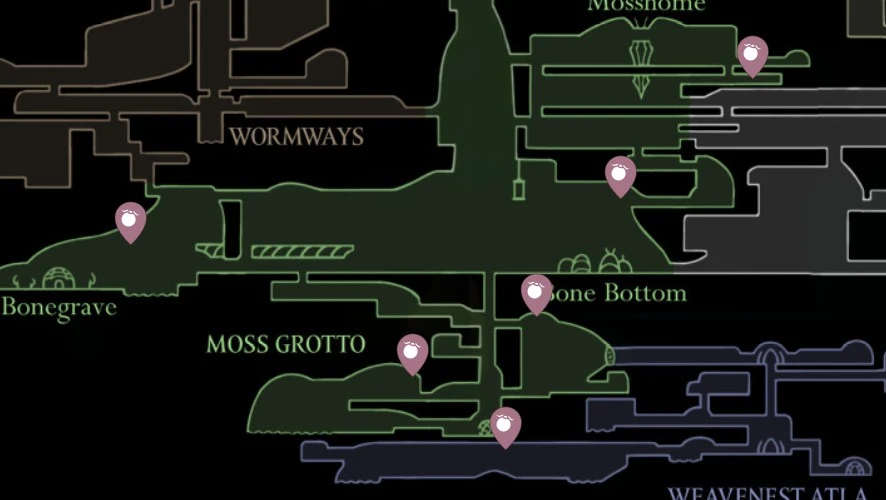 이끼 베리 추가 위치