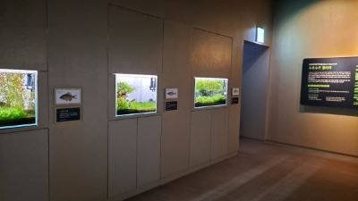 단풍명소_화담숲_자연생태관