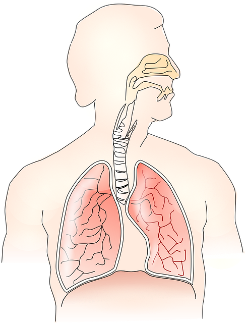 수면 무호흡증의 위험성과 관리 방법
