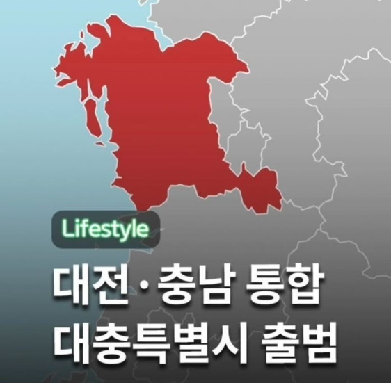 대충특별시 이름 반응 2026년 7월 대전 충남 통합 논란 총정리