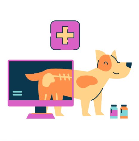 강아지 디스크 초기 증상 5가지 놓치면 생기는 일