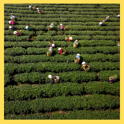 농어민수당신청 