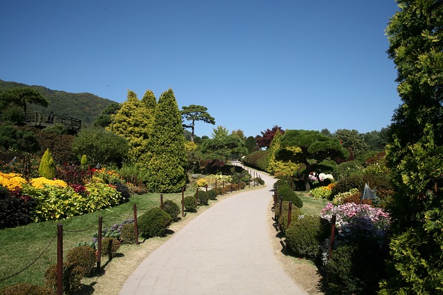 여주 황학산수목원 사진
