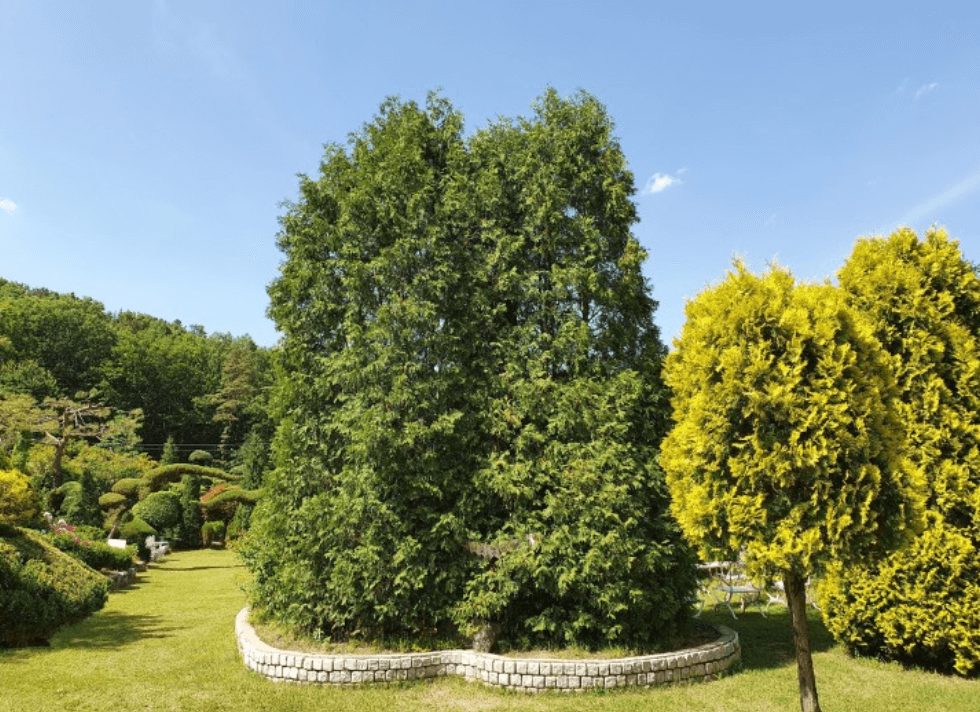 μ¨λ΄μλ¬Όμ-κ°€λ¬λ¦¬