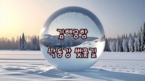 김해공항 낙동강 벚꽃길 썸네일